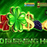 Sosabet 100 Burning Hot Oyunu